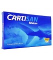 Cartisan Silicium 10 Ampollas 10 Ml. Herdibel