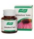 Echinaforce® Forte comprimidos
