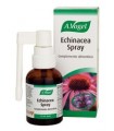 Echinaforce Spray 30 Ml. A. Vogel
