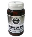 Tribulus Nale (40% De Saponinas)