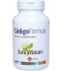 IFIGEN GB (GINKGO BILOBA) Bote 90 cápsulas 