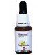 VITAMINA D3 1.000 UI SURA VITASAN