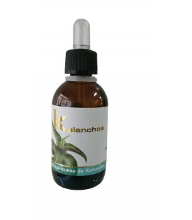 KALANCHOE 50 ml. LUMEN
