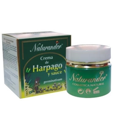 Crema al Harpago y Sauce   