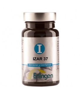 Izar 37  60 Comp.  Erlingen