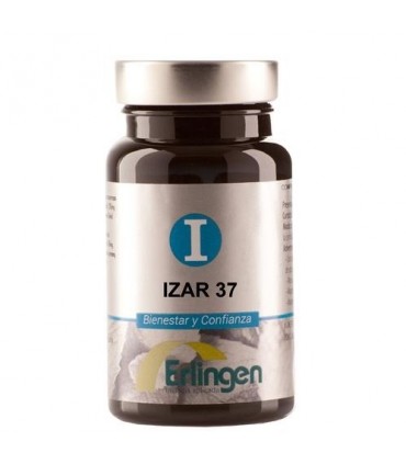 Izar 37  60 Comp.  Erlingen