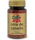 COLA CABALLO 375 MG. 100 COMP. OBIRE