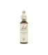 BACH WILD ROSE