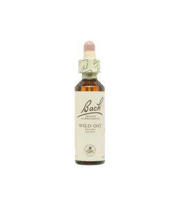 Flores De Bach Wild Oat (Avena Silvestre)