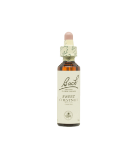 SWEET CHESTNUT BACH