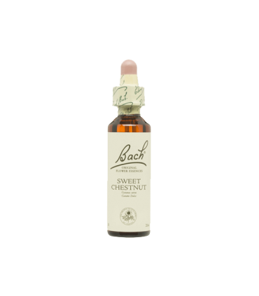 SWEET CHESTNUT BACH