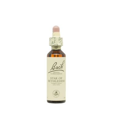 Flor Bach Star Of Bethlehem (Leche De Gallina)