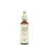 Olive (Olivo) 20 ml