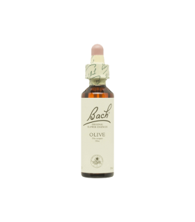 Olive (Olivo) 20 ml