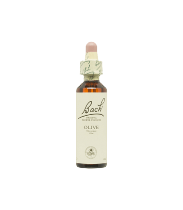Olive (Olivo) 20 ml