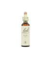 Flores De Bach Olive (Olivo)