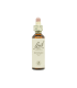 Flores De Bach Mustard (Mostaza)