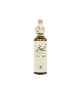 Flores De Bach Mustard (Mostaza)