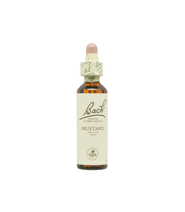 Flores De Bach Mustard (Mostaza)