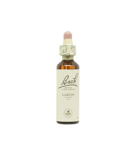 Flores De Bach Larch (Alerce)