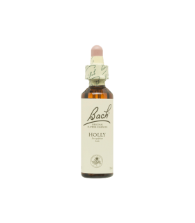 Flores De Bach Holly (Acebo)