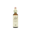 Flores De Bach Heather (Brezo)