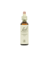 Clematis (Clemátide) 20 ml.