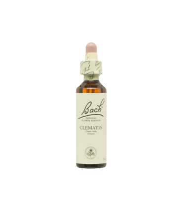 Clematis (Clemátide) 20 ml.
