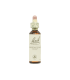 Chestnut Bud (Brote de Castaño) 20 ml