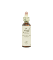 Flores De Bach Chestnut Bud (Brote De Castaño)