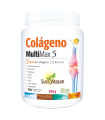 COLAGENO MULTI MAX 5 330 gr. SURAVITASAN