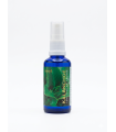 Tonico Kalanchoe 50 Ml. Limye