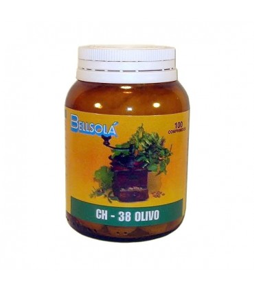 CH-38 OLIVO